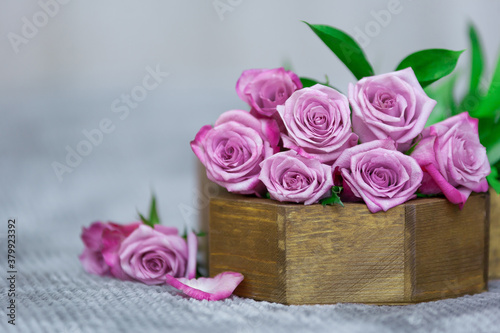 Purple rose bouquet in brown wooden vase with green leaves on gray background with petals on gray fluffy surface