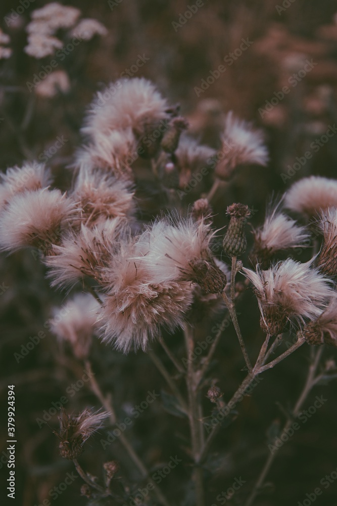 Processed with VSCO with p5 preset Processed with VSCO with p5 preset