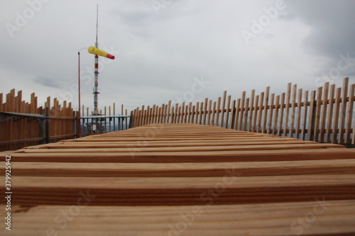 Holz