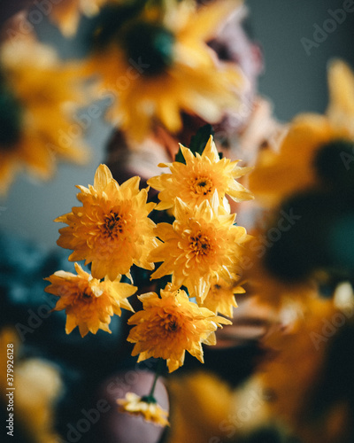 A young man holding flowers 
