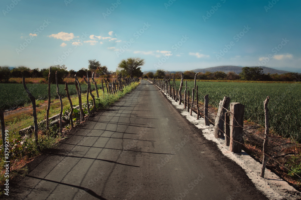 Campo en otoño