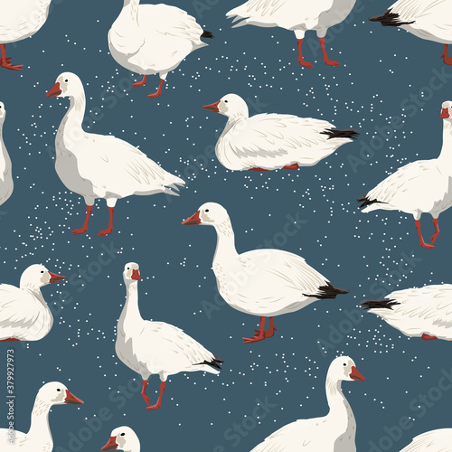 Seamless pattern with snow geese and snowfall. White arctic goose Anser caerulescens. Birds of the North, inhabiting Greenland, Alaska, Canada, Siberia and the Arctic. Vector illustration