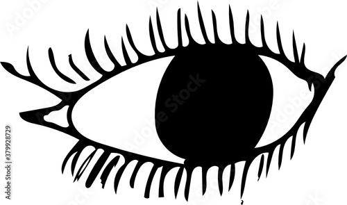 Open Eye in black white with cornea and eyelids and eyelashes  for vector and icon