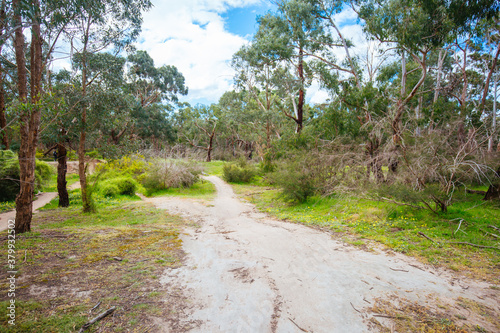 Plenty Gorge Parklands in Australia