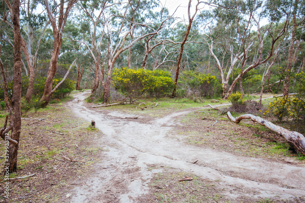 Plenty Gorge Parklands in Australia Plenty Gorge Parklands in Australia