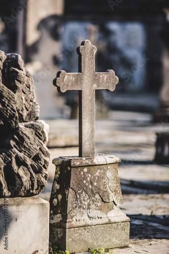 Cross Stone on Burial in an Old Italian Cemetery photo