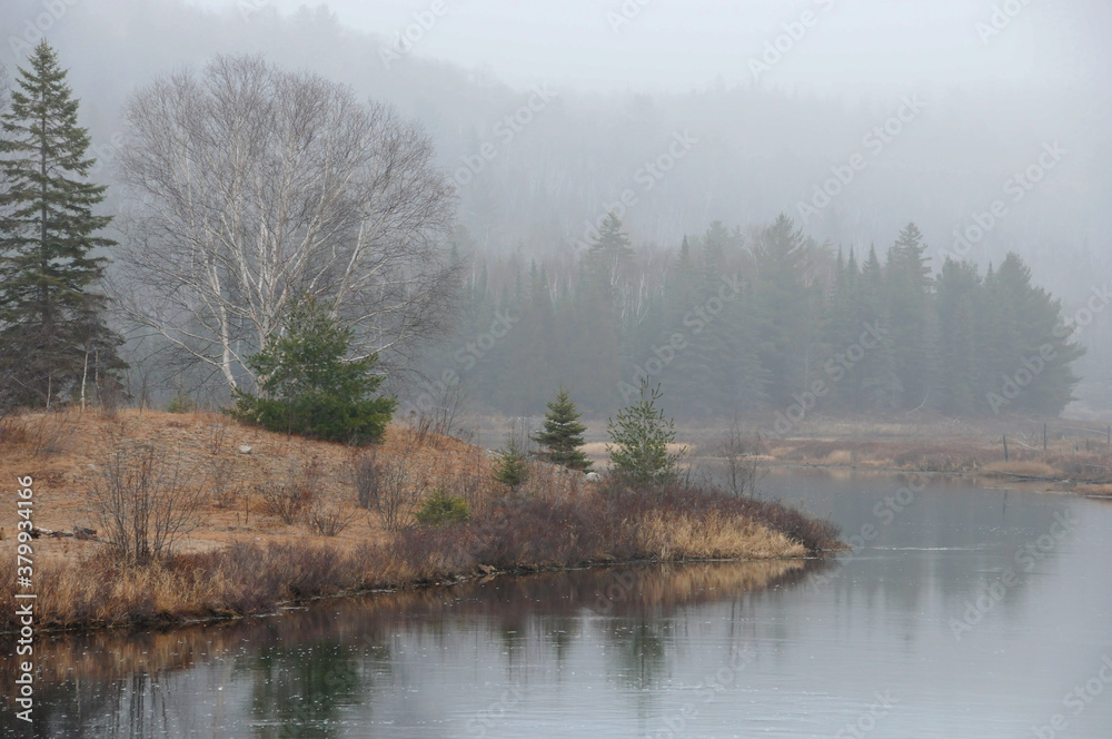 Fog photo stock. Foggy scenery landscape soft mist on nature. Foggy photos. Forest landscape with fog. Fog photo stock. Foggy scenery landscape soft mist on nature. Foggy photos. Forest landscape with fog.