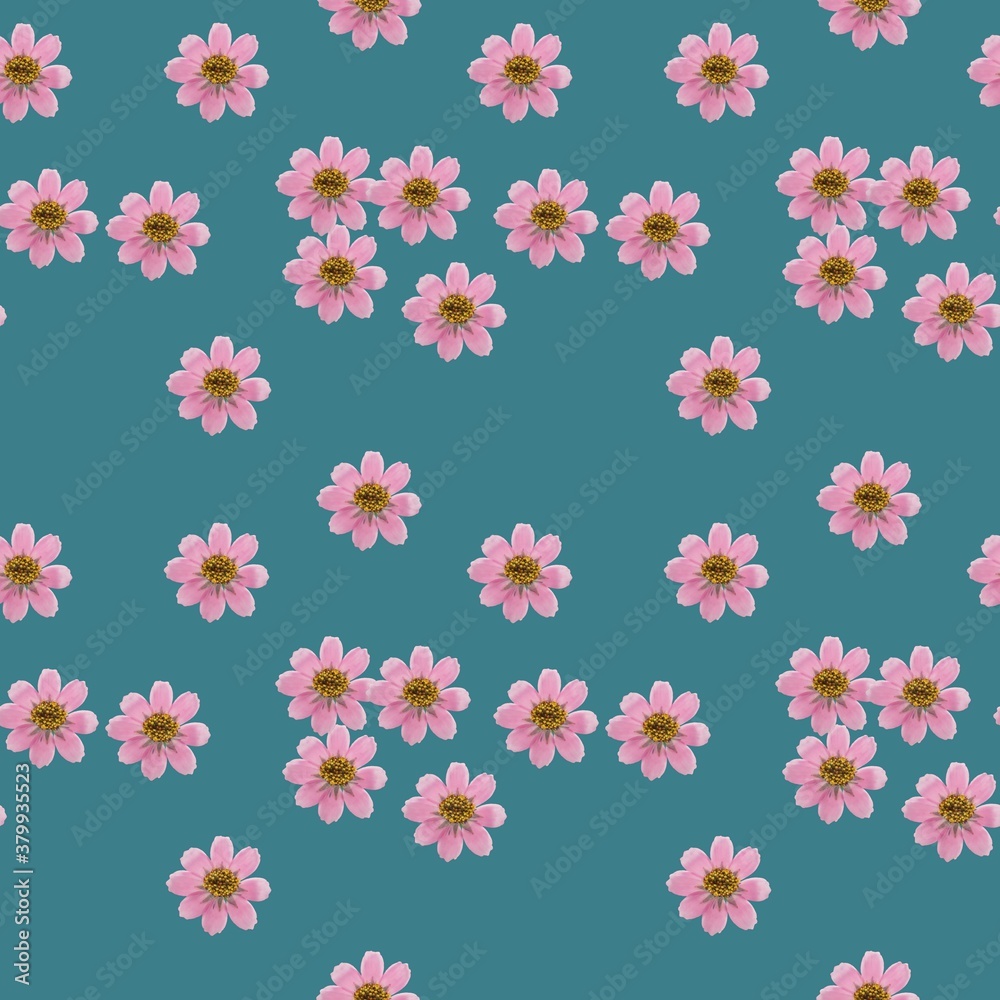 Cosmos. Illustration, texture of flowers. Seamless pattern for c