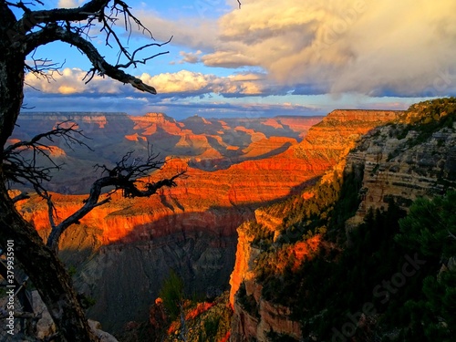 Fototapeta Naklejka Na Ścianę i Meble -  North America, United States, Arizona, Grand Canyon National Park