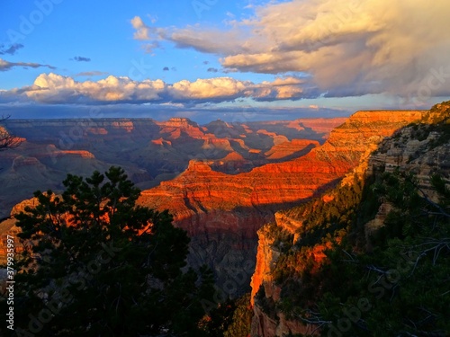 North America, United States, Arizona, Grand Canyon National Park © Giban