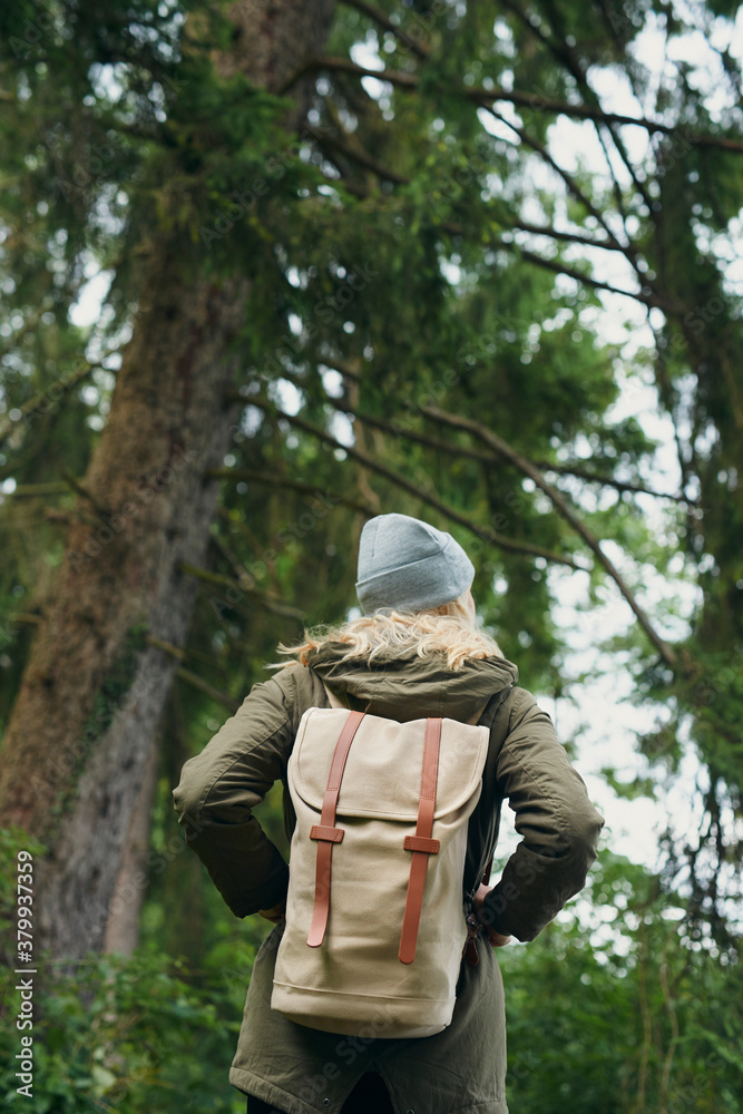 Travel hiker woman in beautiful green forest on scenic Travel hiker woman in beautiful green forest on scenic