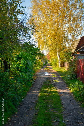 Village street in autumn morning