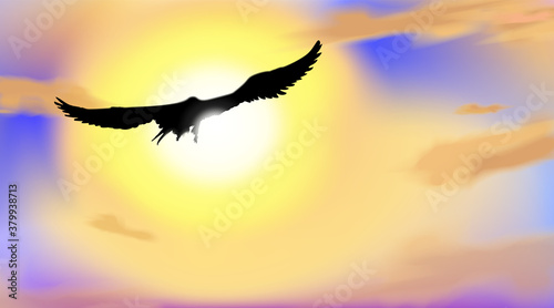 Art background with the silhouette of an hawk or eagle, flying in blue sky with light bokeh in colors of dawn. Morning landscape heaven, blur clouds. Vector illustration. © Nanotrillion