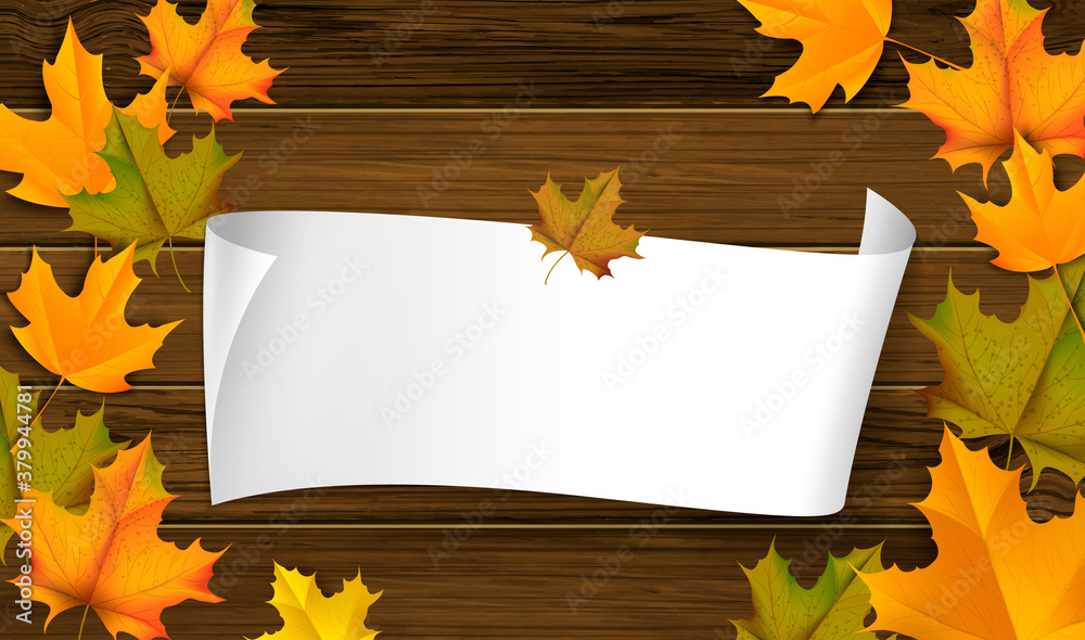 Fototapeta premium Greetings and gifts for the autumn and autumn season concept. Autumn background, poster and banner template with colorful autumn leaves.