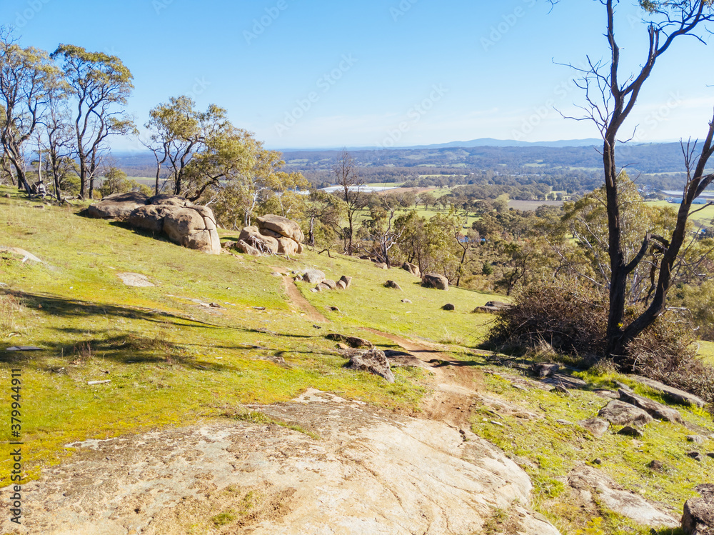 Fototapeta premium Mt Alexander in Harcourt in Australia