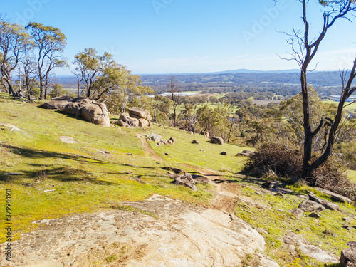 Mt Alexander in Harcourt in Australia photo