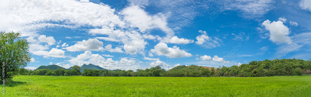 Panoramic landscape view of green grass field agent blue sky Panoramic landscape view of green grass field agent blue sky