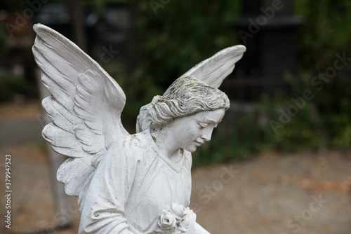 Closeup of stoned angel on tomb in a cemetery