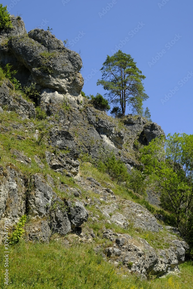 Landschaft und Felsenhänge im Kleinziegenfelder Tal, Fränkische Schweiz, Landkreis Lichtenfels, Oberfranken, Franken, Bayern, Deutschland Landschaft und Felsenhänge im Kleinziegenfelder Tal, Fränkische Schweiz, Landkreis Lichtenfels, Oberfranken, Franken, Bayern, Deutschland