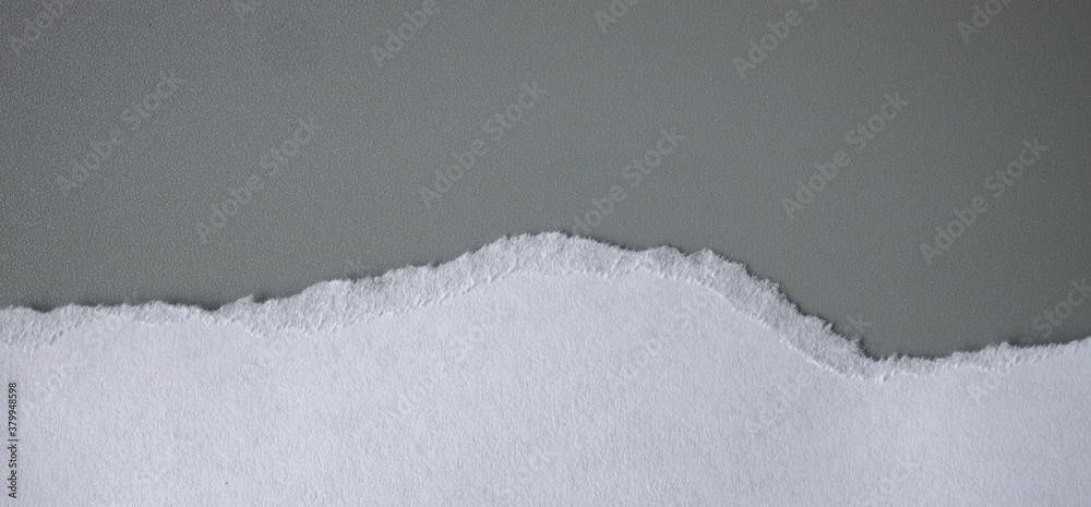 white torn paper on gray background. collection paper rip white torn paper on gray background. collection paper rip