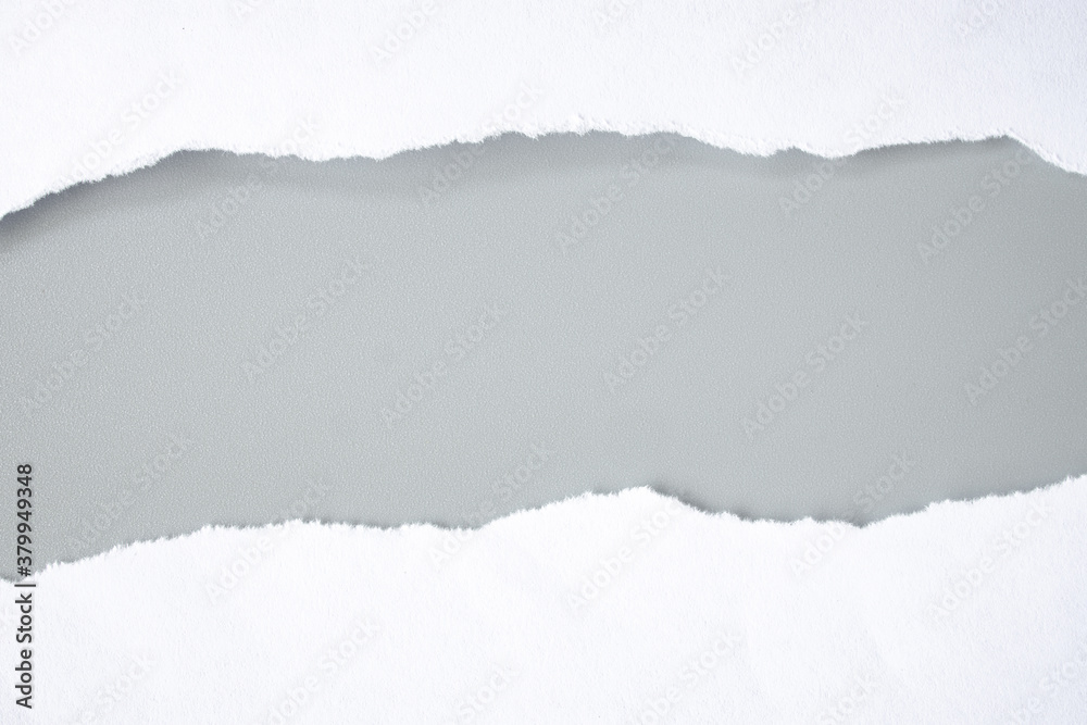 white torn paper on gray background. collection paper rip white torn paper on gray background. collection paper rip