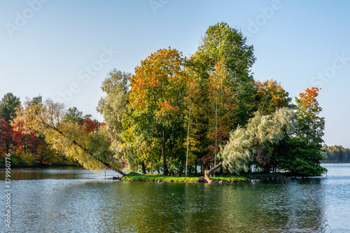 Autumn island with a crooked growing trees