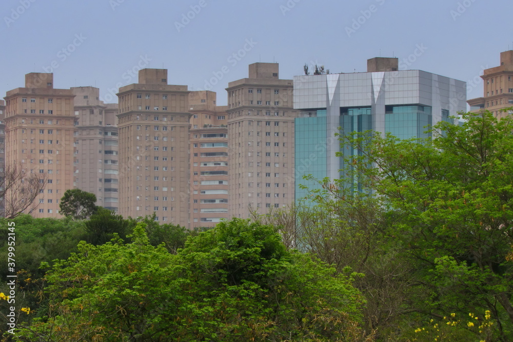 skyline of buildings built in the Jardim Europa neighborhood, framed by the green canopy of trees.