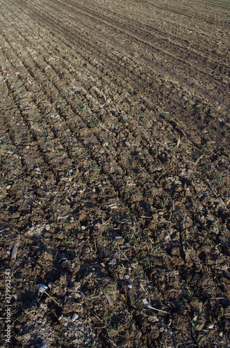 Newly ploughed agricultural field