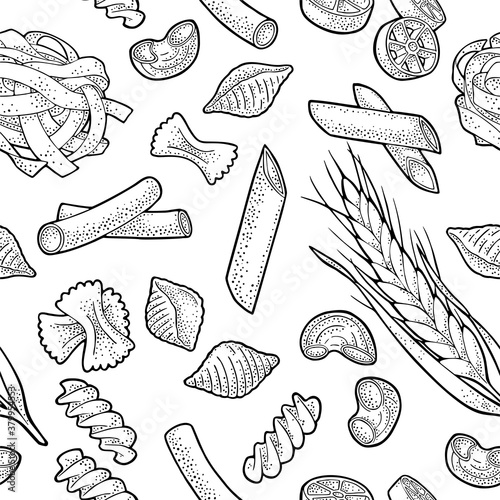 Farfalle, conchiglie, maccheroni, fusilli, penne, pipe. Vector vintage engraving illustration isolated