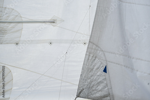 Close up of stitching and shadows on jib and mainsail.