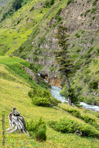 Turquoise  mountain river in a green valley, Kazakhstan. Vertical photo