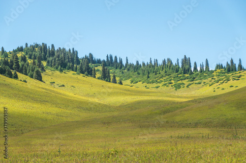 Green forests on the hills against the blue daytime sky. Cloud, green landscape