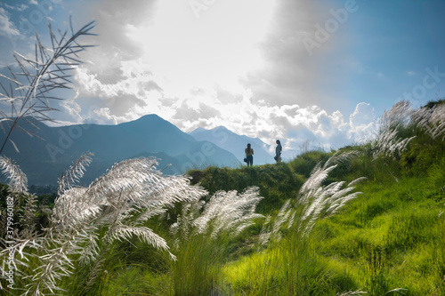 Wild sugarcane flower and two lady on hill photo