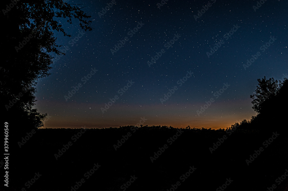 silhouette of grass in a field and trees in the forest just after sunset under a starry sky with stars silhouette of grass in a field and trees in the forest just after sunset under a starry sky with stars