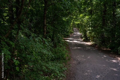 Tourist hiking path in oaktree forest in Bakony hegyseg, Hungary, Europe