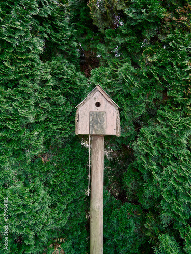 A wooden birdhouse standing on a wooden pole surrounded by green coniferous trees. © Lukasz