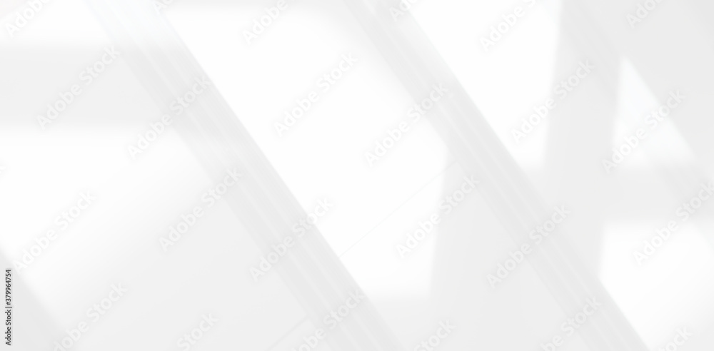 Abstract Shadow. blurred background. gray leaves that reflect concrete walls on a white wall surface for blurred backgrounds and monochrome wallpapers. Abstract Shadow. blurred background. gray leaves that reflect concrete walls on a white wall surface for blurred backgrounds and monochrome wallpapers.