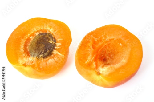 Apricot on white background