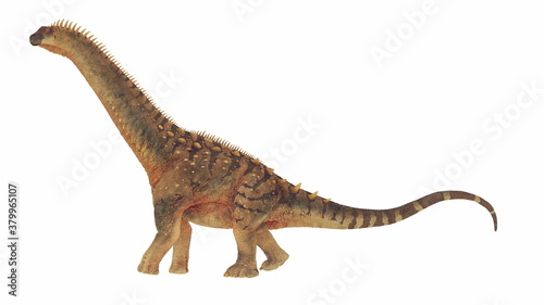 Alamosaurus dinosaur walking isolated in white background - 3D render