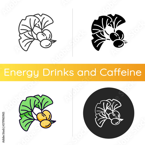 Ginkgo biloba icon. Natural herbal ingredient. Japanese plant leaf and bean. Alternative medicinal additive for energy drink. Linear black and RGB color styles. Isolated vector illustrations