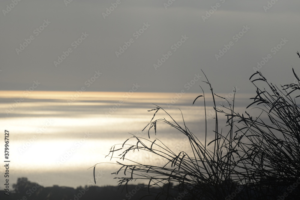 Fototapeta premium sunset on the sea