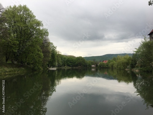 lake in the forest