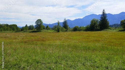 Murnauer Moos mit Gebirge