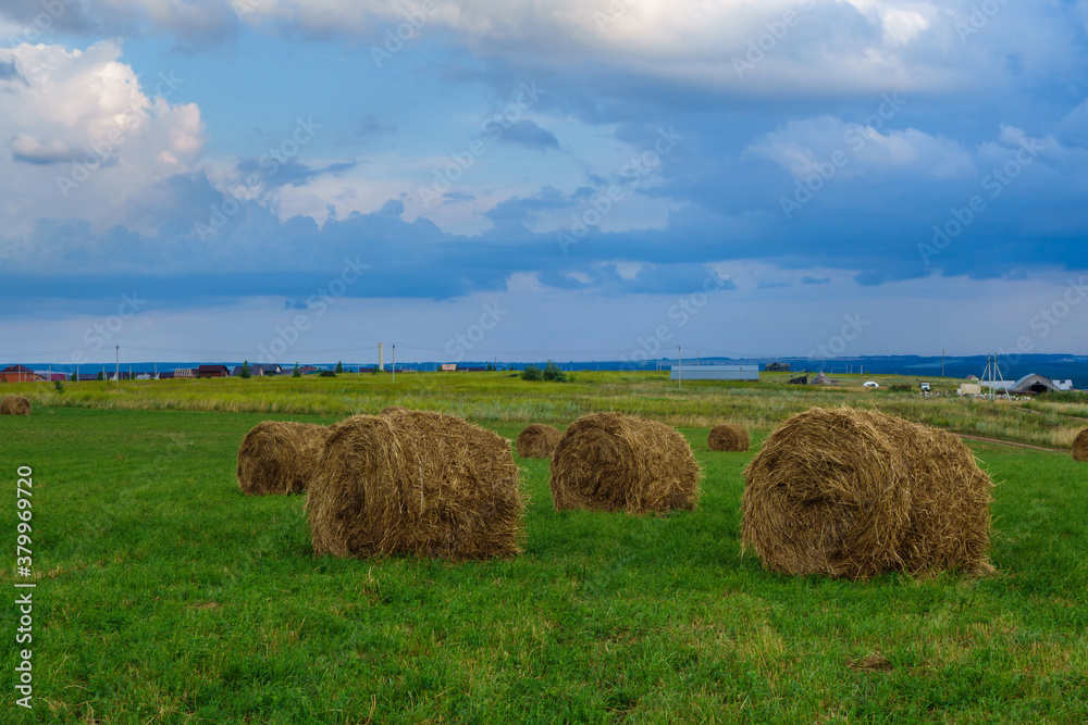Stacks of rolled hay in a field, against the sky with clouds and farm houses and buildings (in the distance).