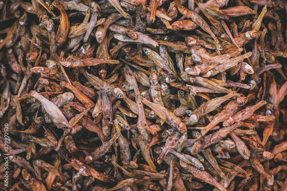 Dried fish Dried fish