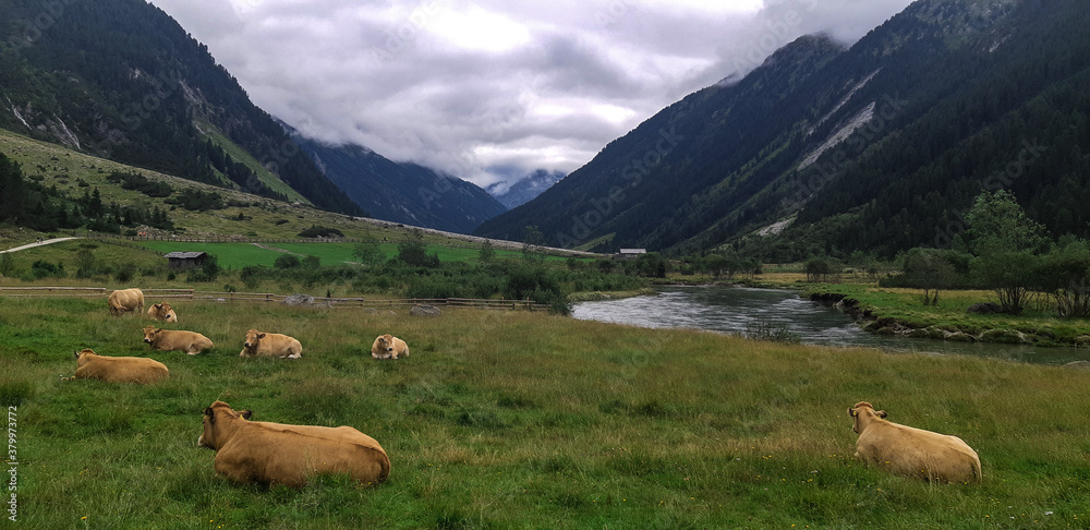 Monumental Valley in High Tauern  National Park