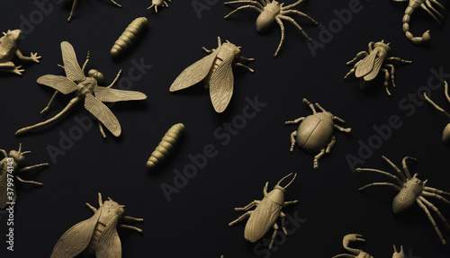 Insectorium/collection of bugs/insects. photo