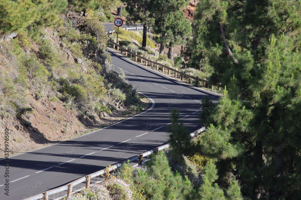 Fototapeta premium teide tenerife