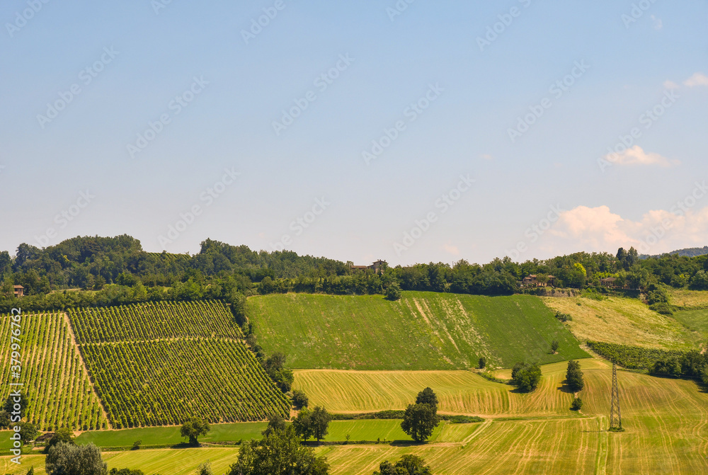 Landscape of cultivated hills in a sunny summer day with clear blue sky, Piacenza, Emilia-Romagna, Italy Landscape of cultivated hills in a sunny summer day with clear blue sky, Piacenza, Emilia-Romagna, Italy
