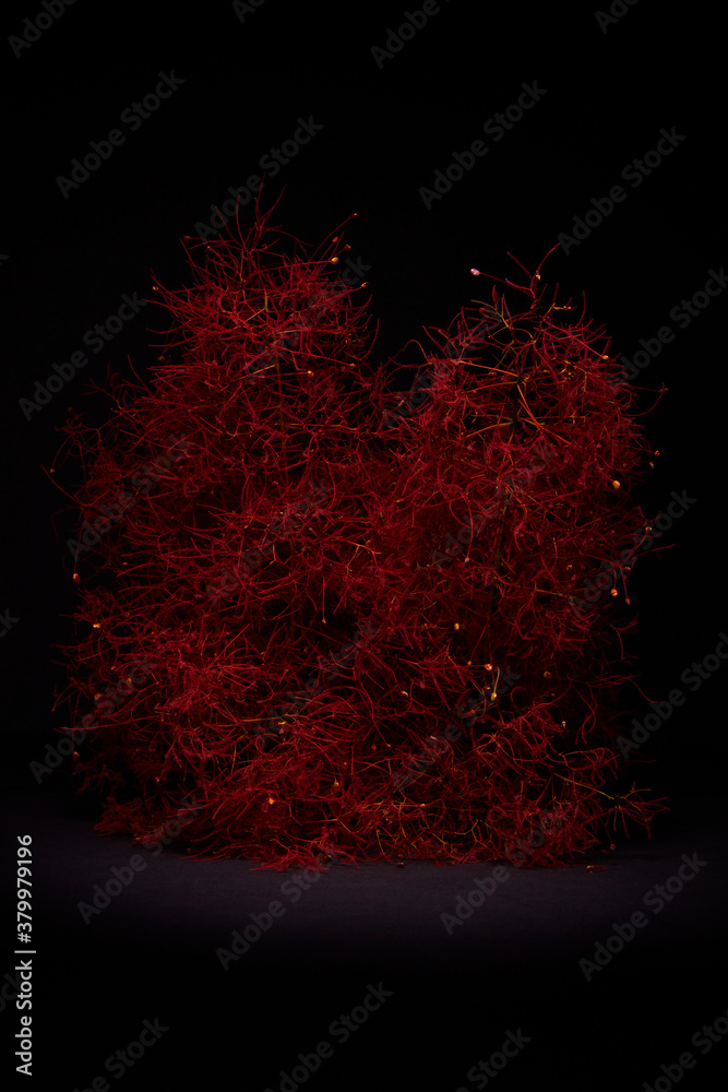red flowers
